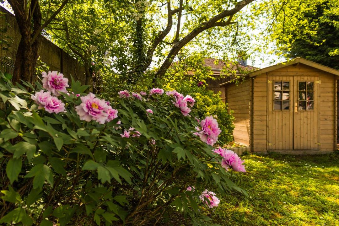 Photo of Others in Selestat