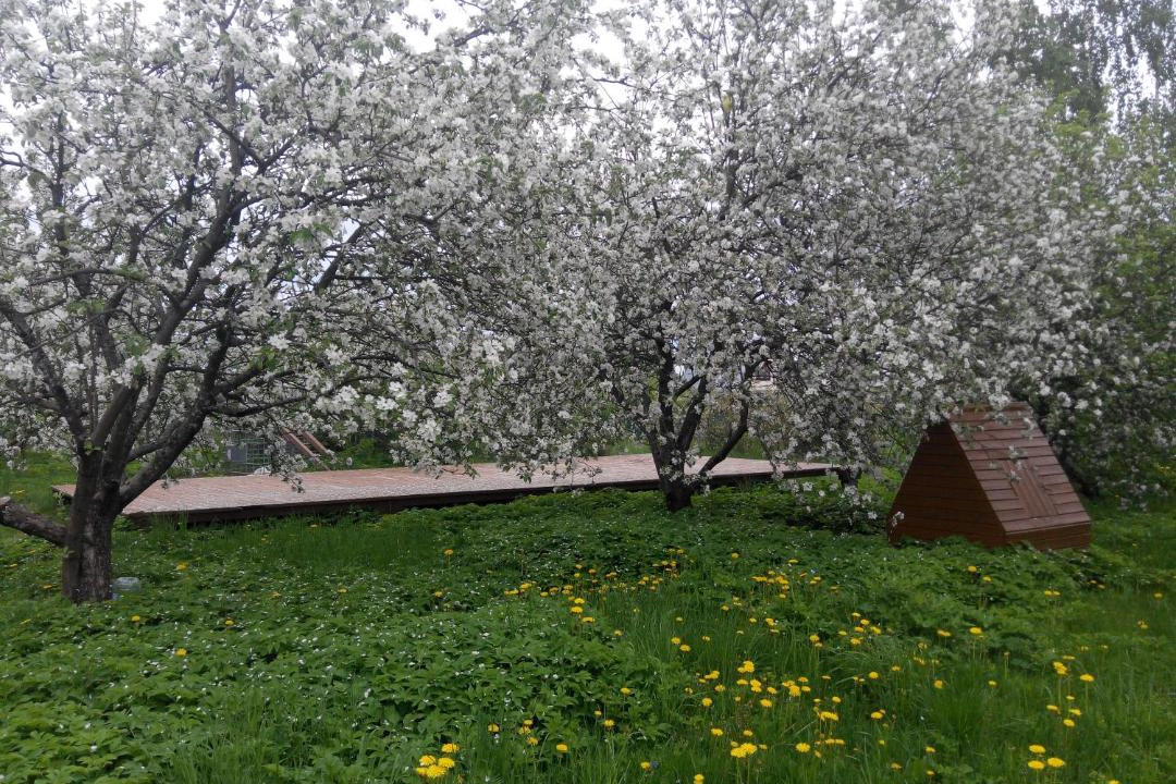 Photo of Others in Prislon