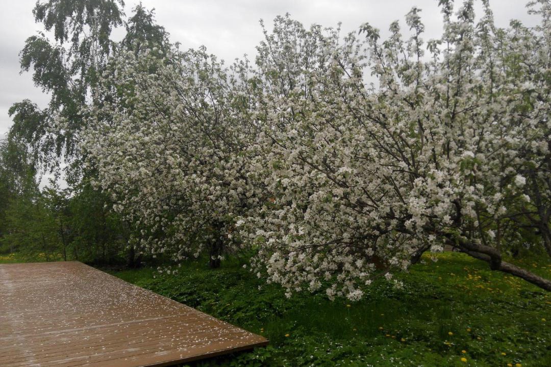 Photo of Outdoor in Prislon