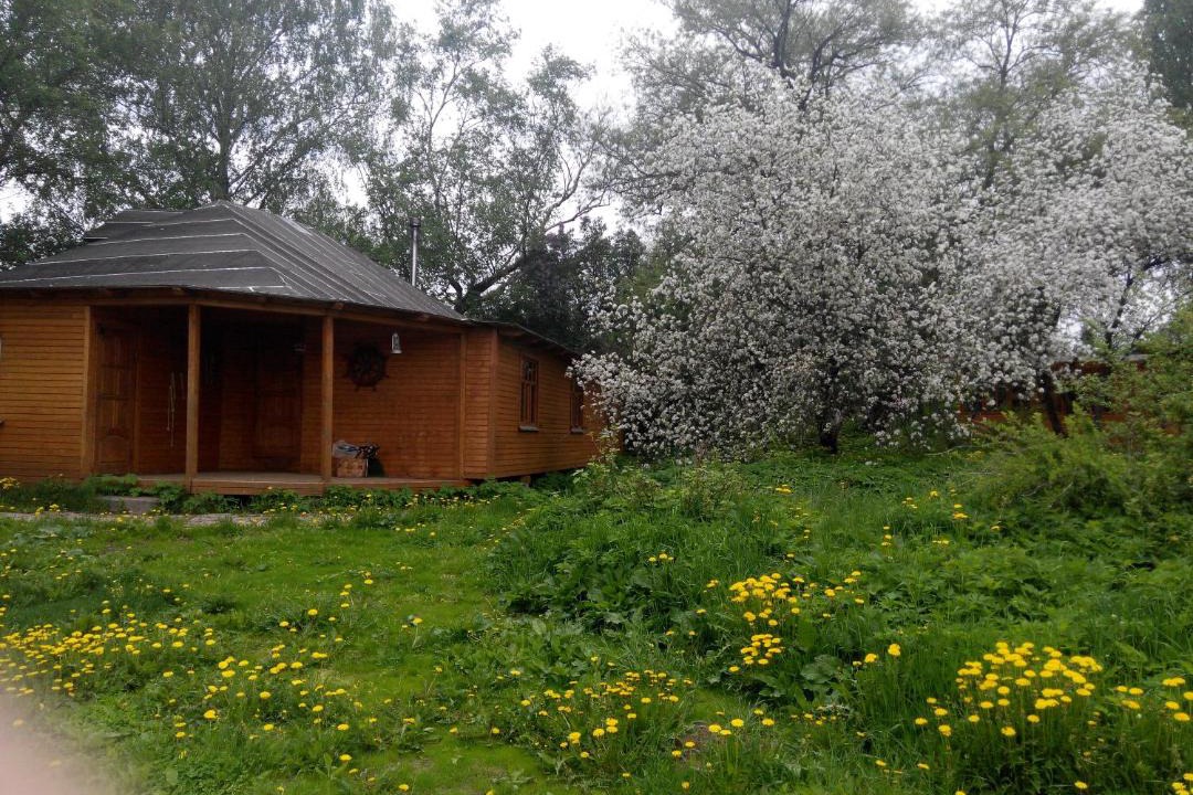 Photo of Buildings in Prislon