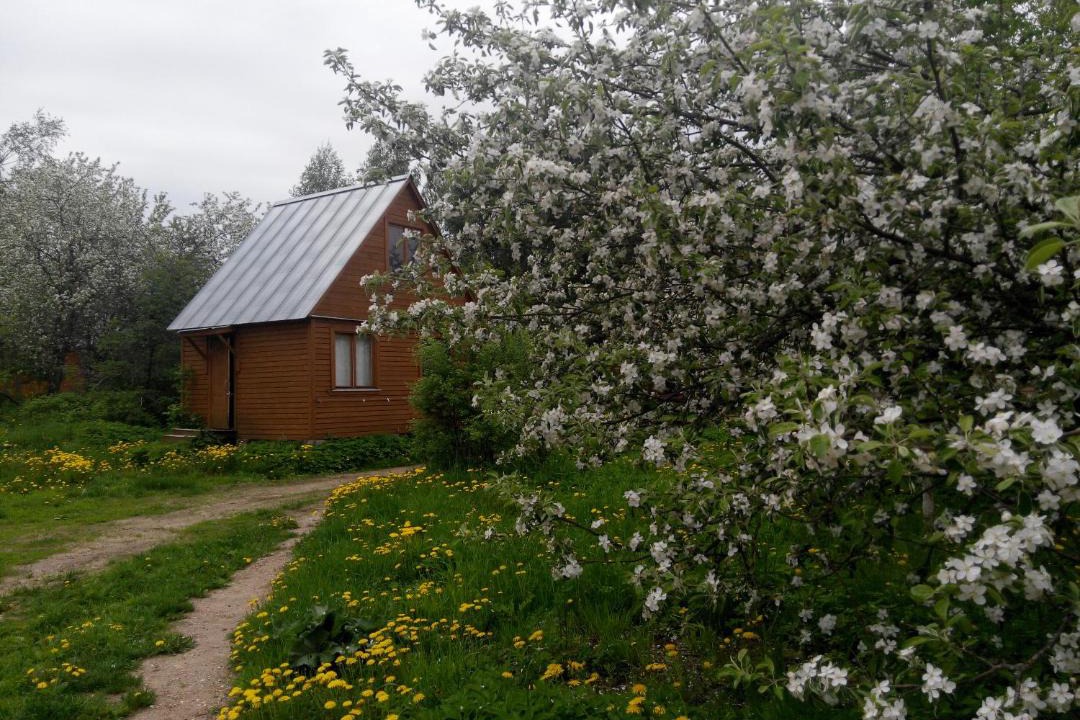 Photo of Buildings in Prislon