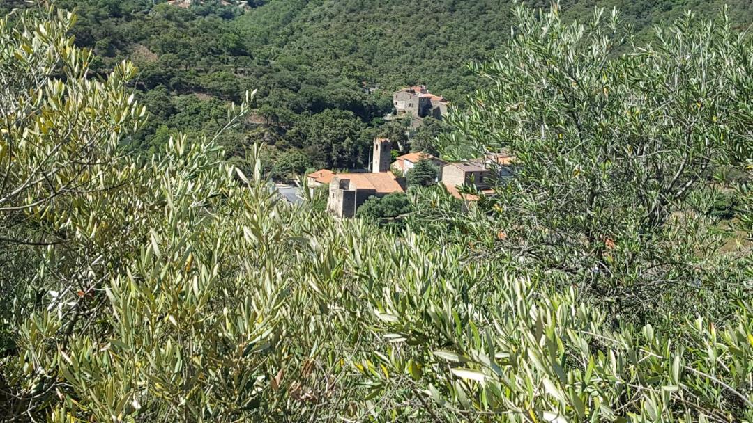 Photo of Others in Saint-Michel-de-Llotes