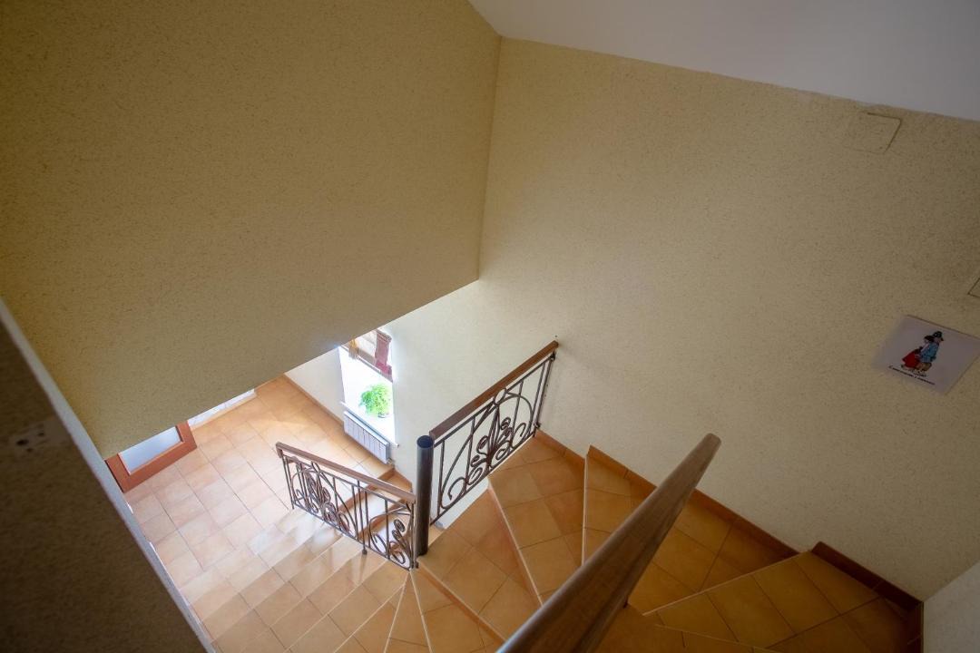 Photo of Others in Rostov