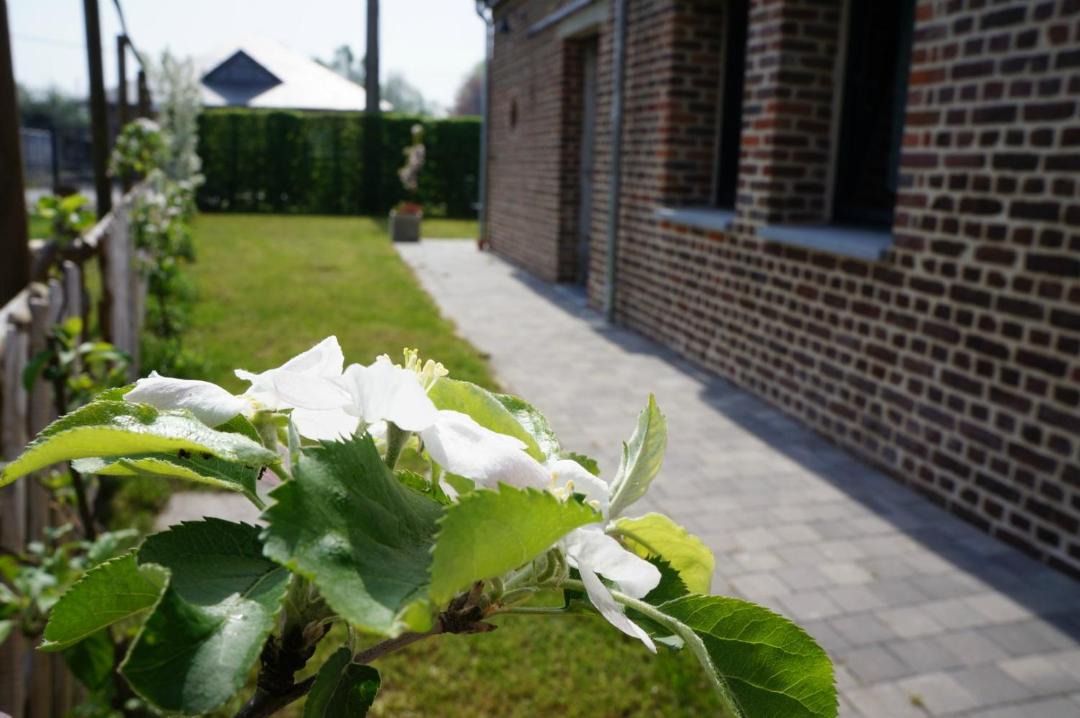 Photo of Others in Lecelles