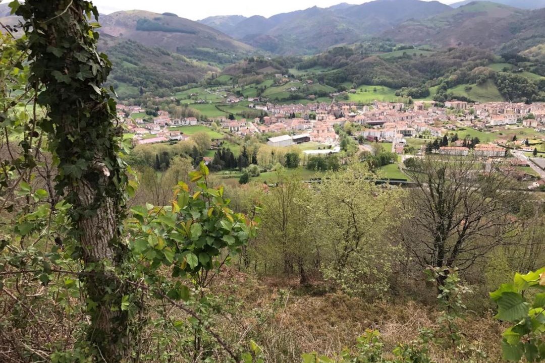 Photo of Others in Elizondo