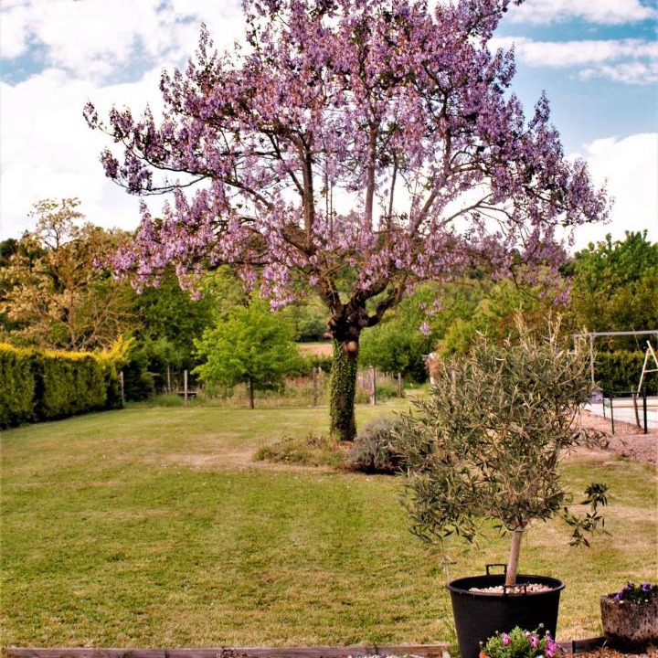 Photo of Others in Montcaret