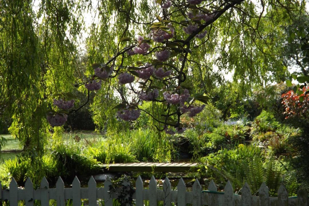 Photo of Others in Bognor Regis