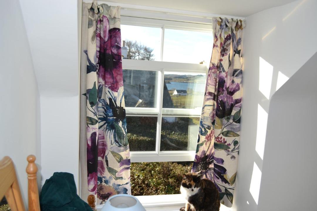 Photo of Others in Isle of Seil