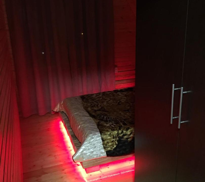 Photo of Others in Fiagdonskoe