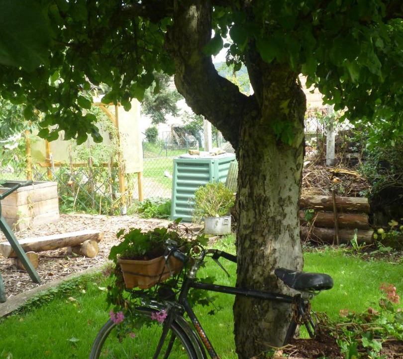 Photo of Others in Husseren-Wesserling