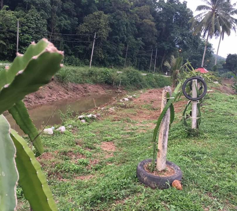 Photo of Others in Kampung Kuala Dipang