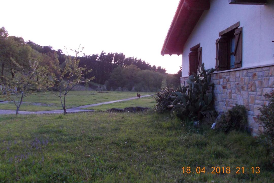 Photo of Others in Larrabetzu