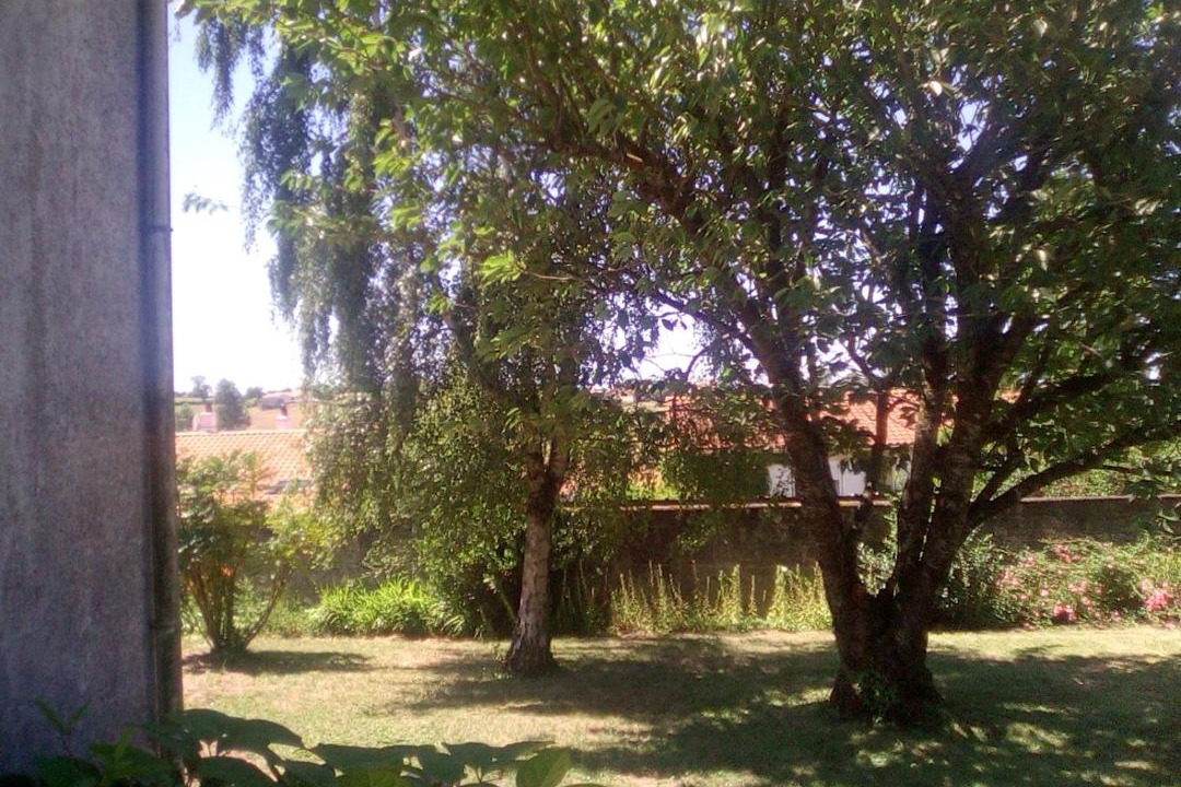 Photo of Others in Reaumur