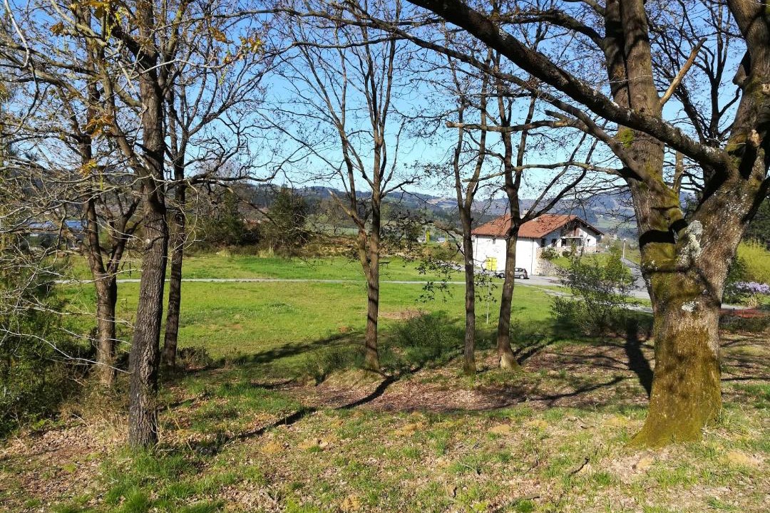 Photo of Others in Larrabetzu