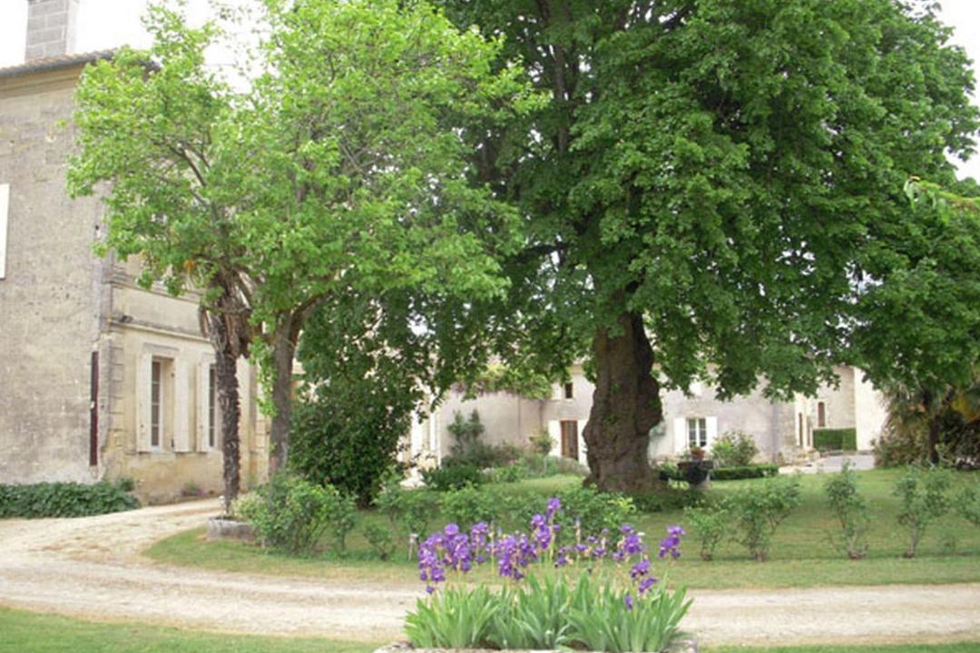 Photo of Others in Puisseguin