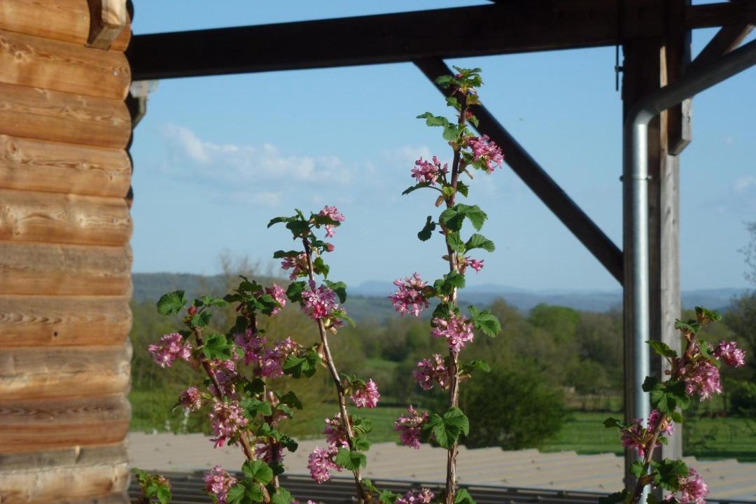 Photo of Others in Senaud