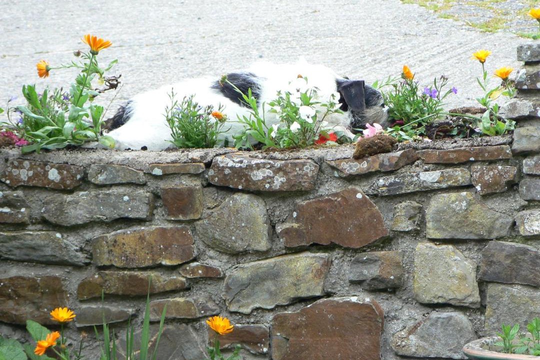 Photo of Others in Westleigh