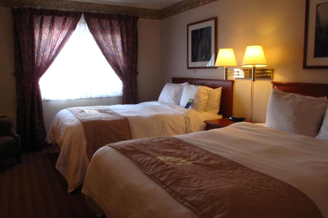 Photo of Others in Halifax