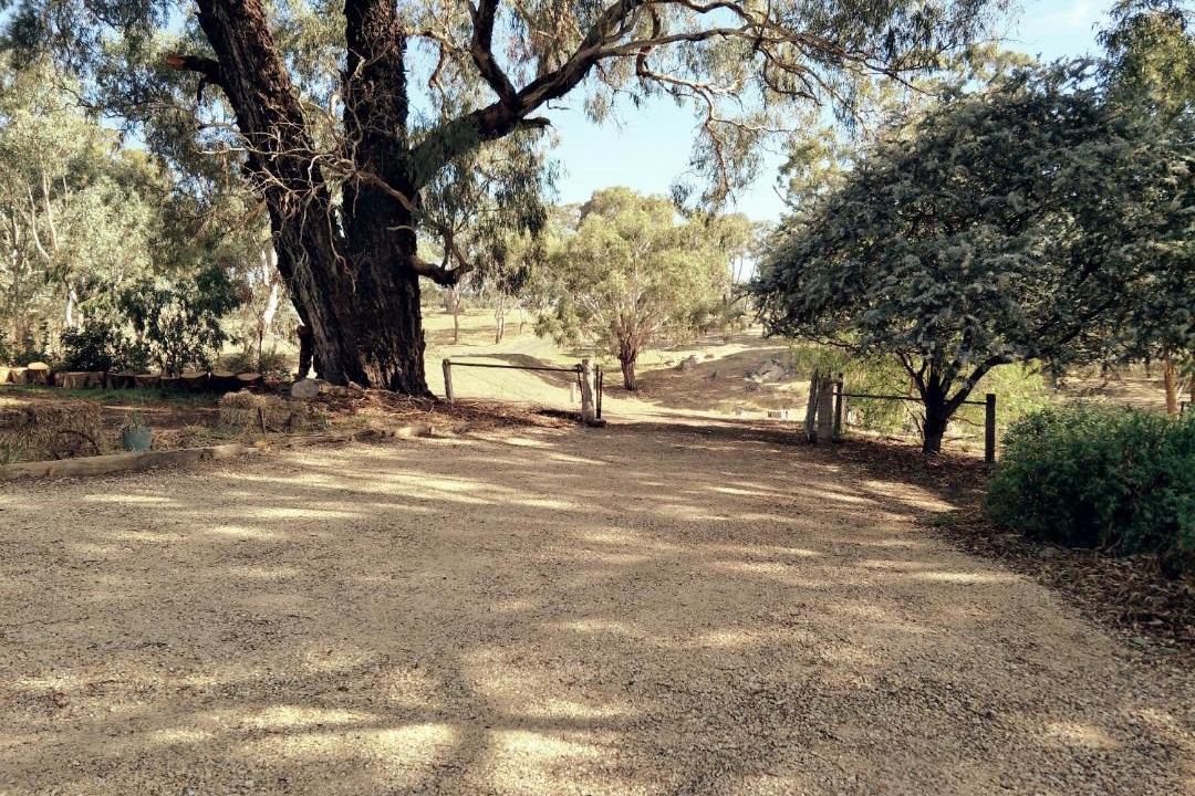 Photo of Others in Metcalfe