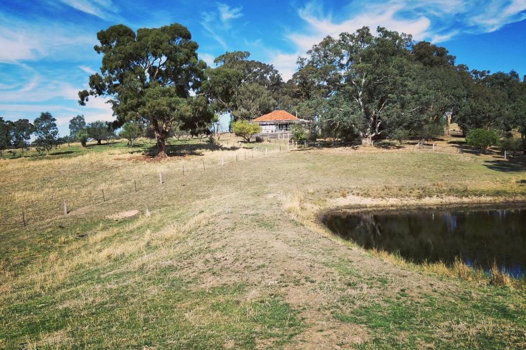 Photo of Others in Metcalfe