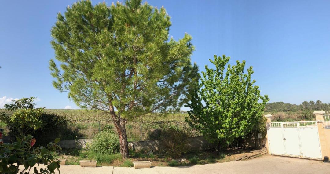 Photo of Others in Saint-Drezery