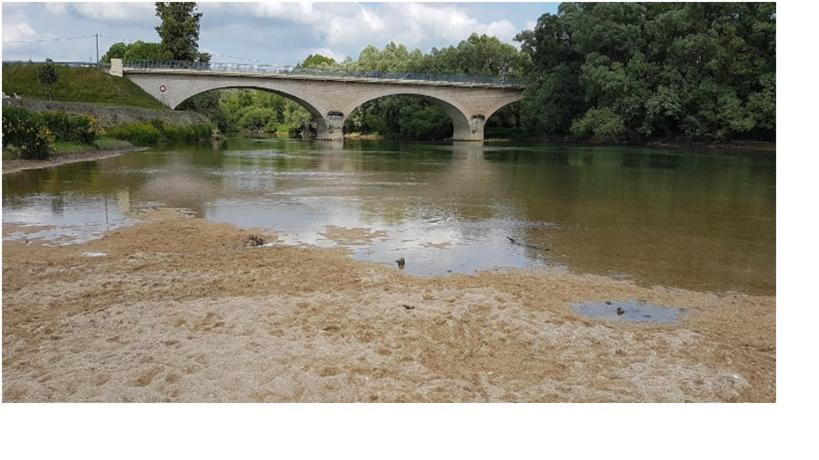 Photo of Others in Conflans-sur-Seine