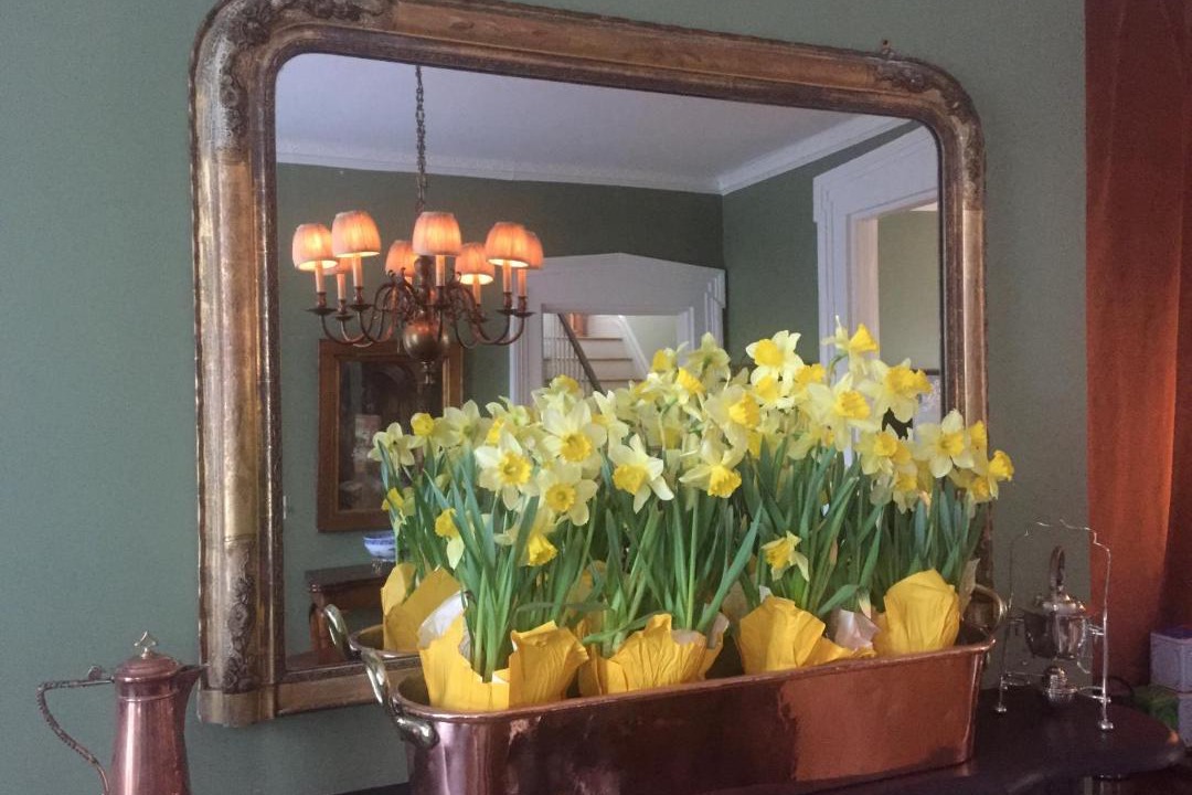 Photo of Others in Hudson