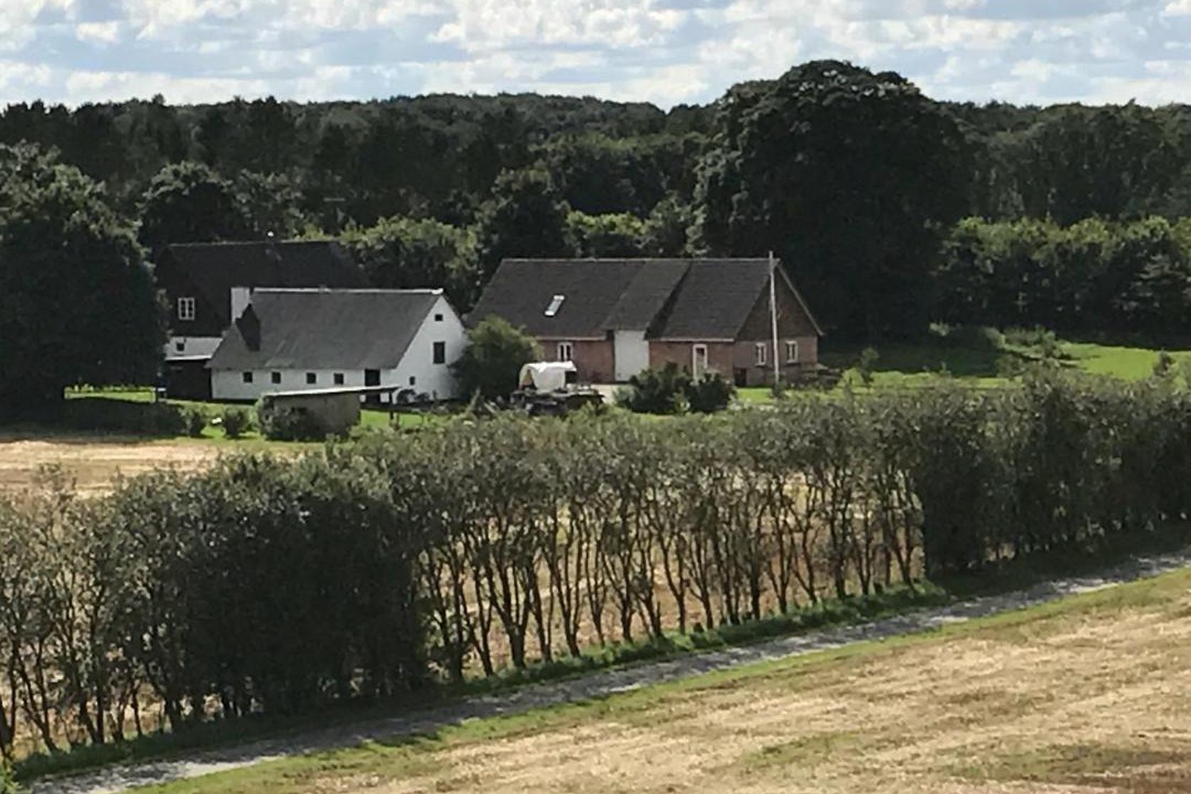 Photo of Others in Silkeborg