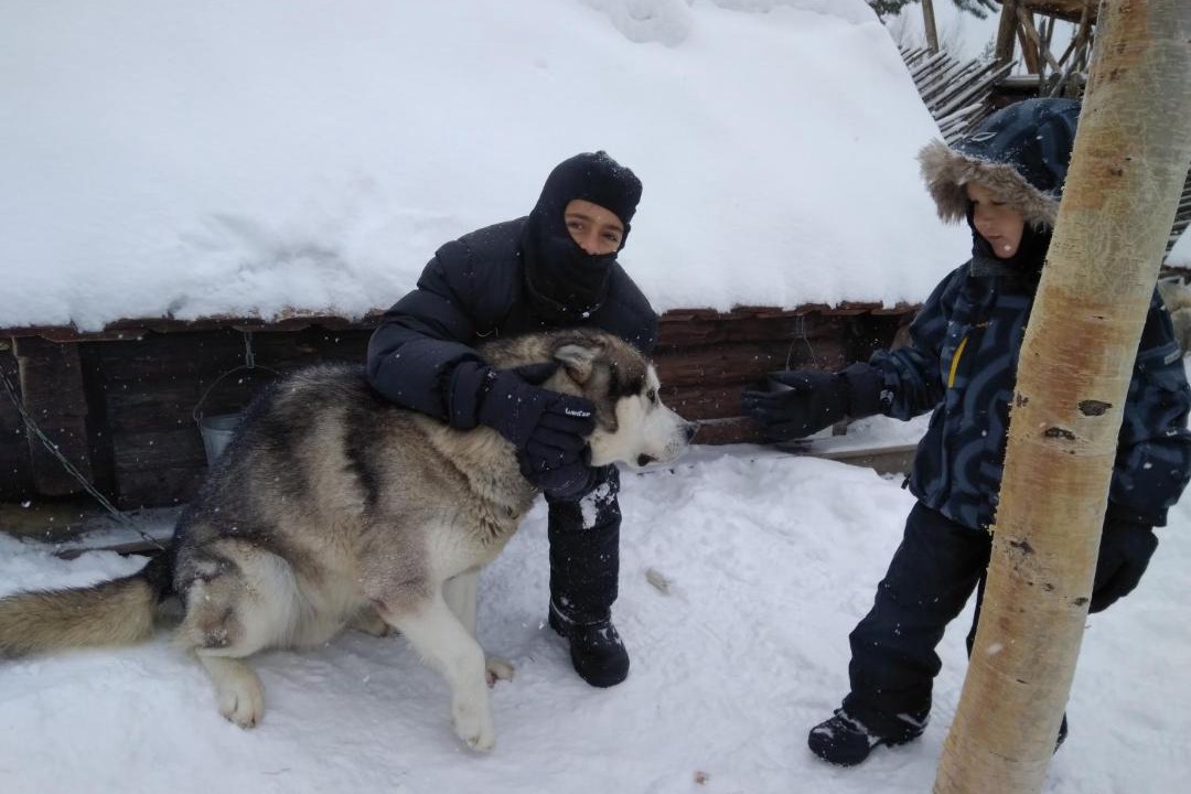 Photo of Human In Picture in Konchezero