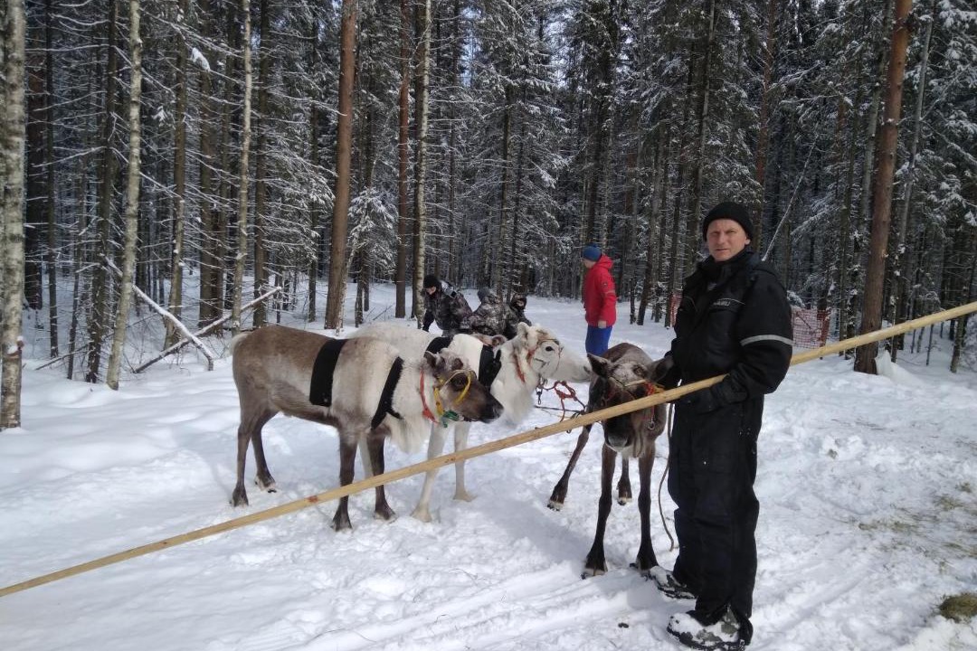 Photo of Others in Konchezero