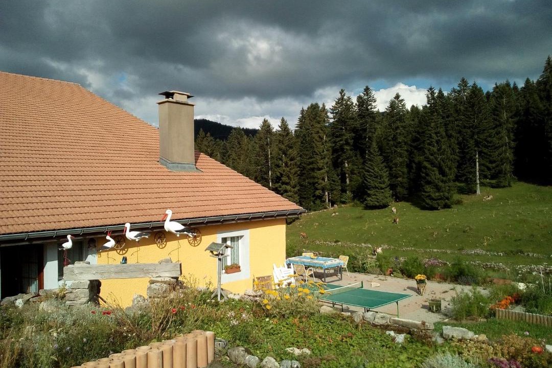 Photo of Others in La Cote-aux-Fees