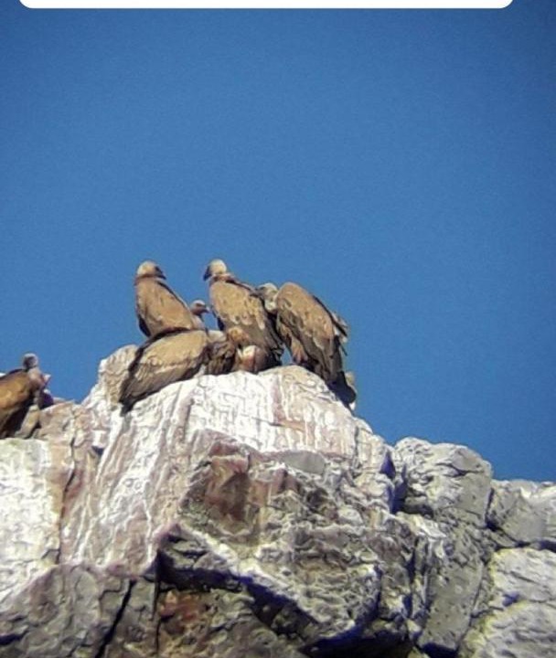 Photo of Others in Malpartida de Plasencia