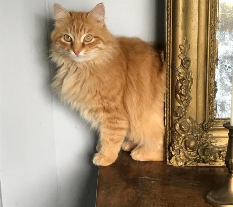 Photo of Others in Palaminy