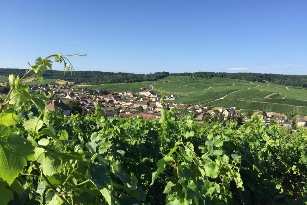 Photo of Others in Brugny-Vaudancourt