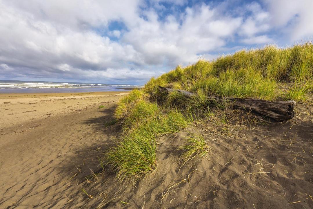 Photo of Others in Ocean Shores