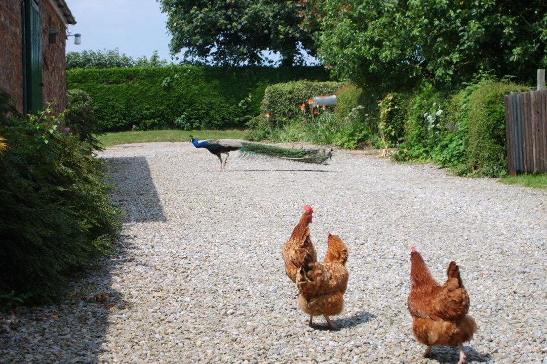 Photo of Others in Crayke