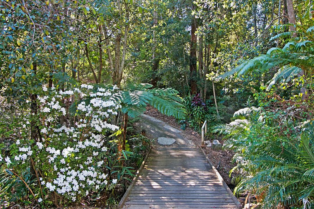 Photo of Others in Limpinwood