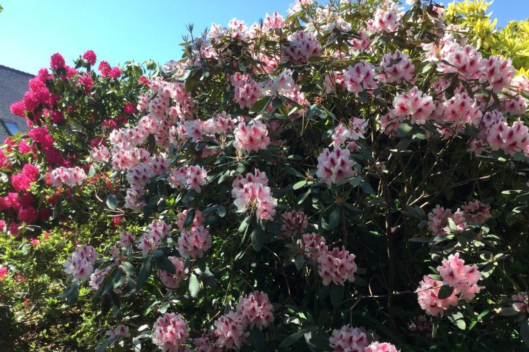 Photo of Outdoor in Ploemeur