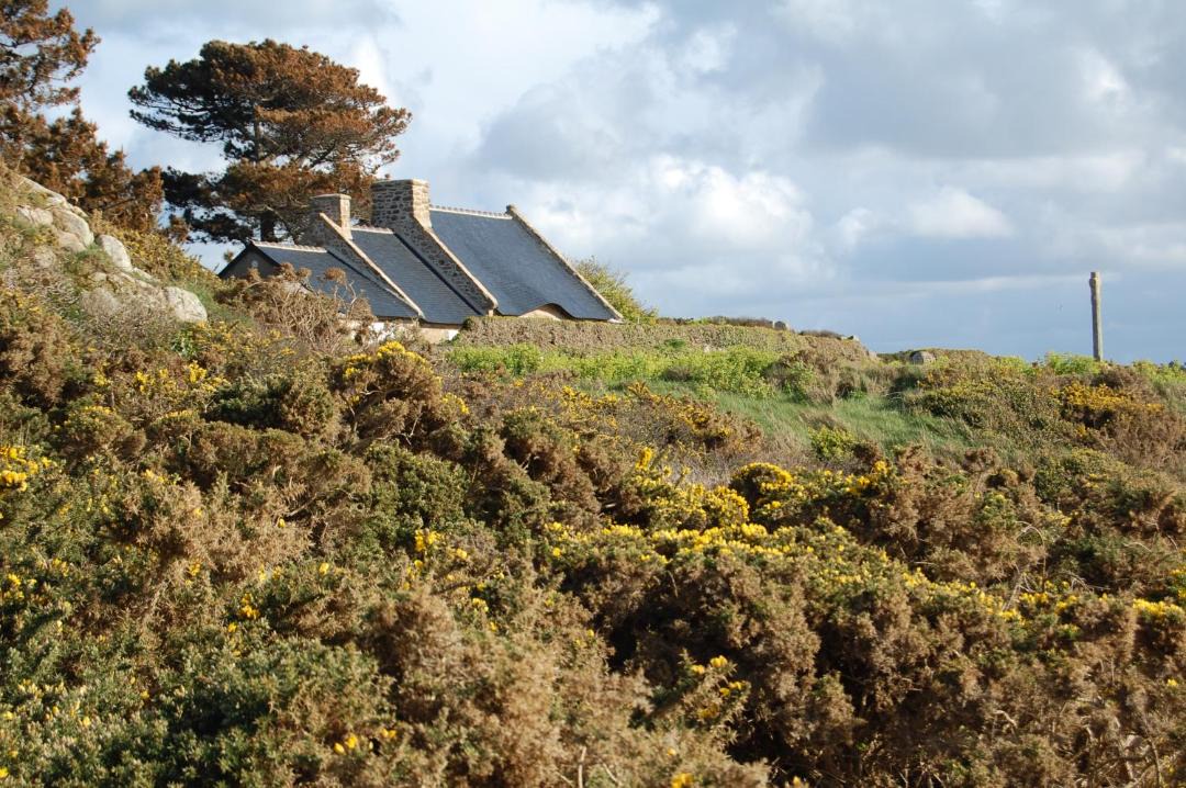 Photo of Others in Ile-de-Brehat