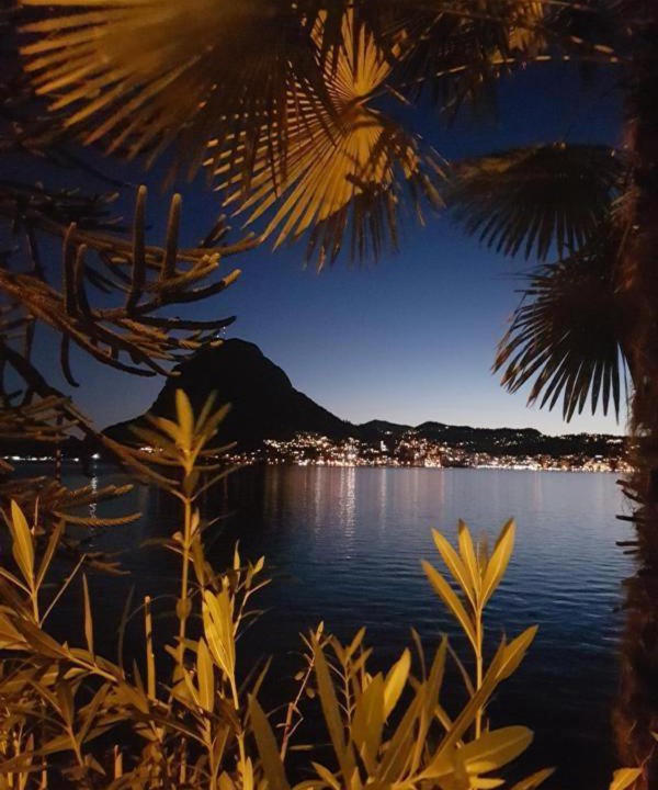 Photo of Outdoor in Castagnola