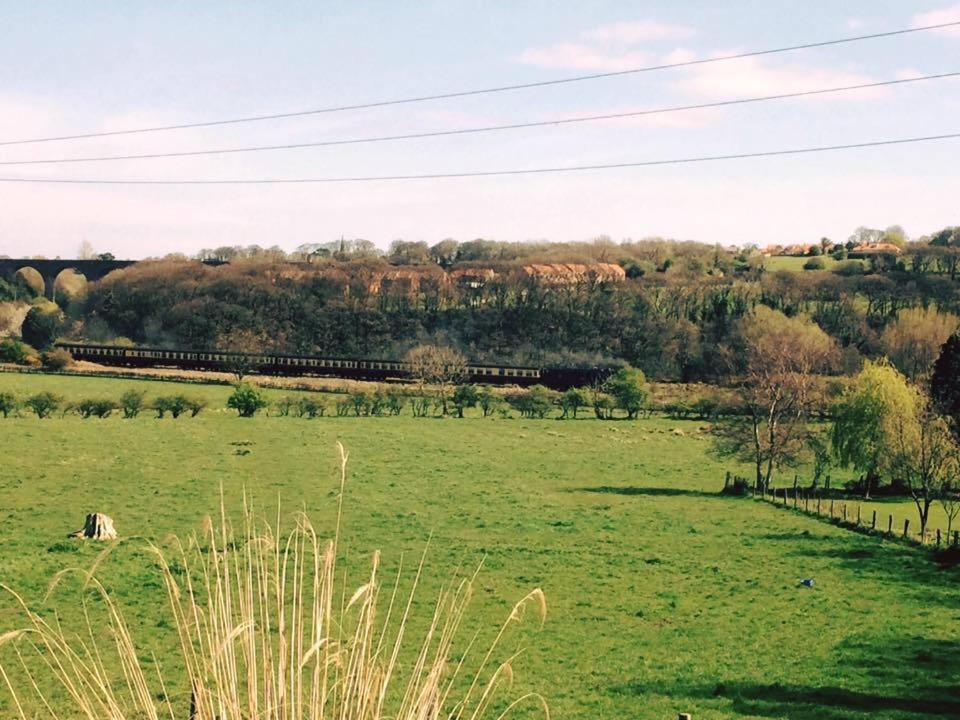 Photo of Outdoor in Ruswarp