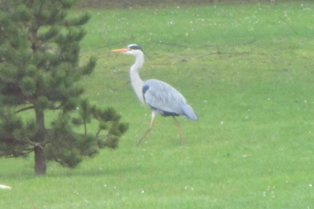 Photo of Others in Cambrai