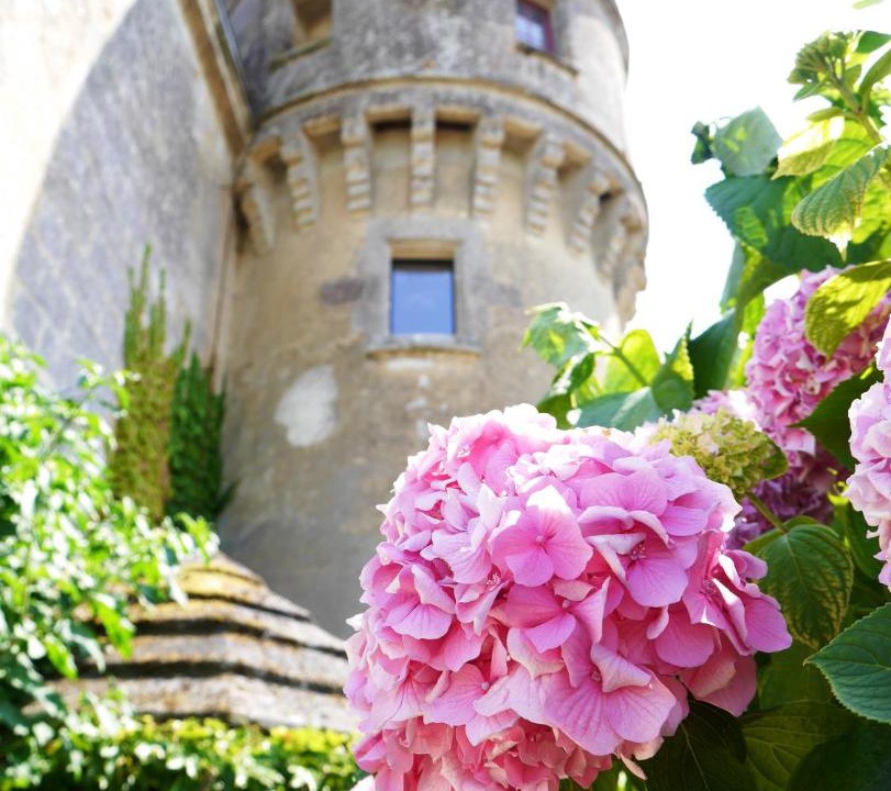 Photo of Others in Bourg-sur-Gironde