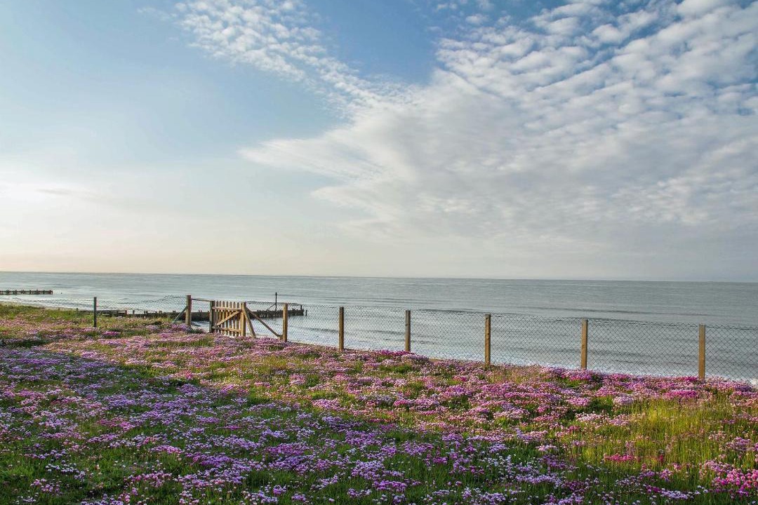 Photo of Others in Walcott