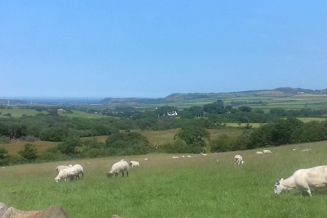 Photo of Outdoor in Llanerchymedd