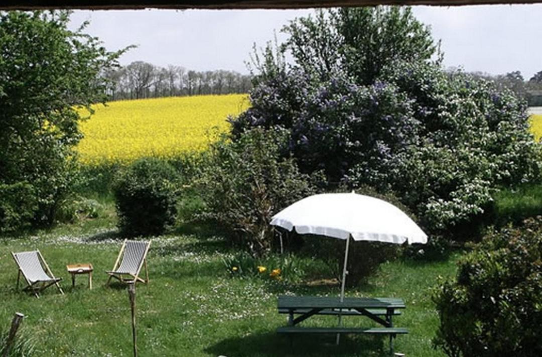 Photo of Others in Giscaro