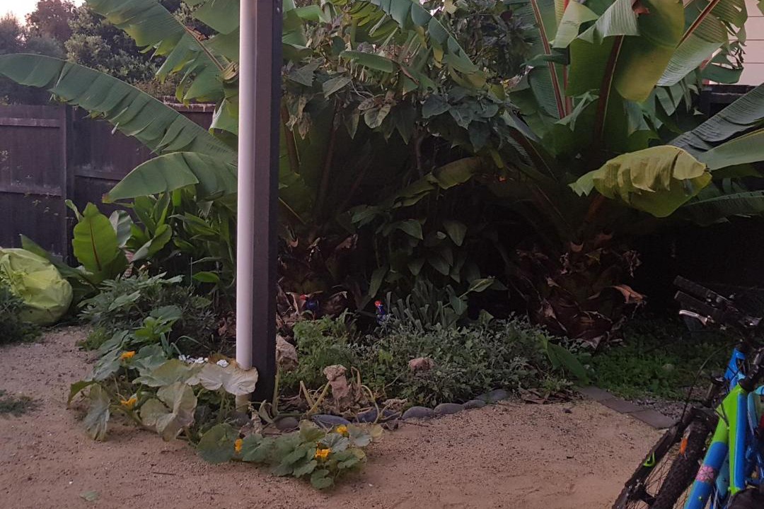 Photo of Others in Peka Peka