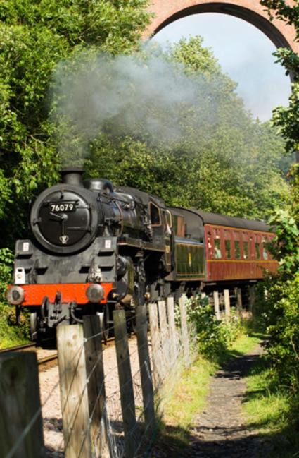 Photo of Others in Ruswarp