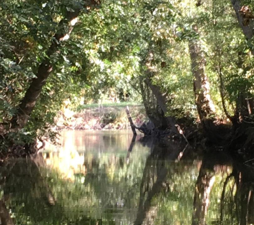 Photo of Others in Maillezais