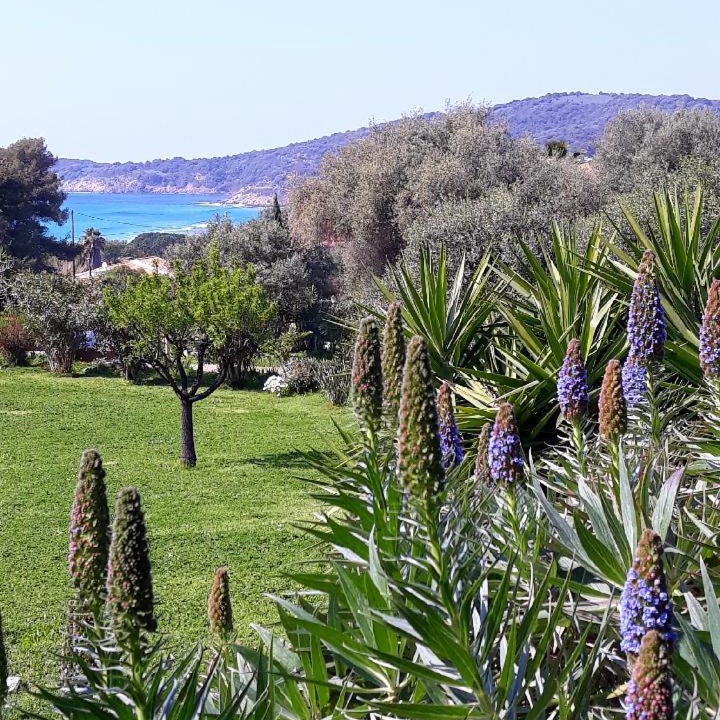 Photo of Outdoor in Cargese